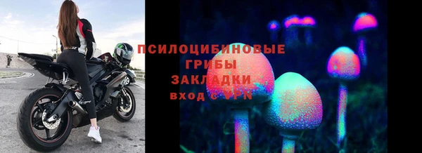 соль ск Аркадак