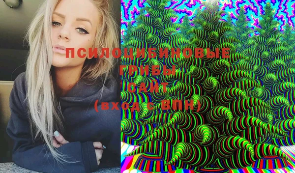 PSILOCYBIN Арсеньев