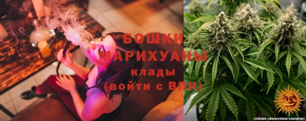 PSILOCYBIN Арсеньев